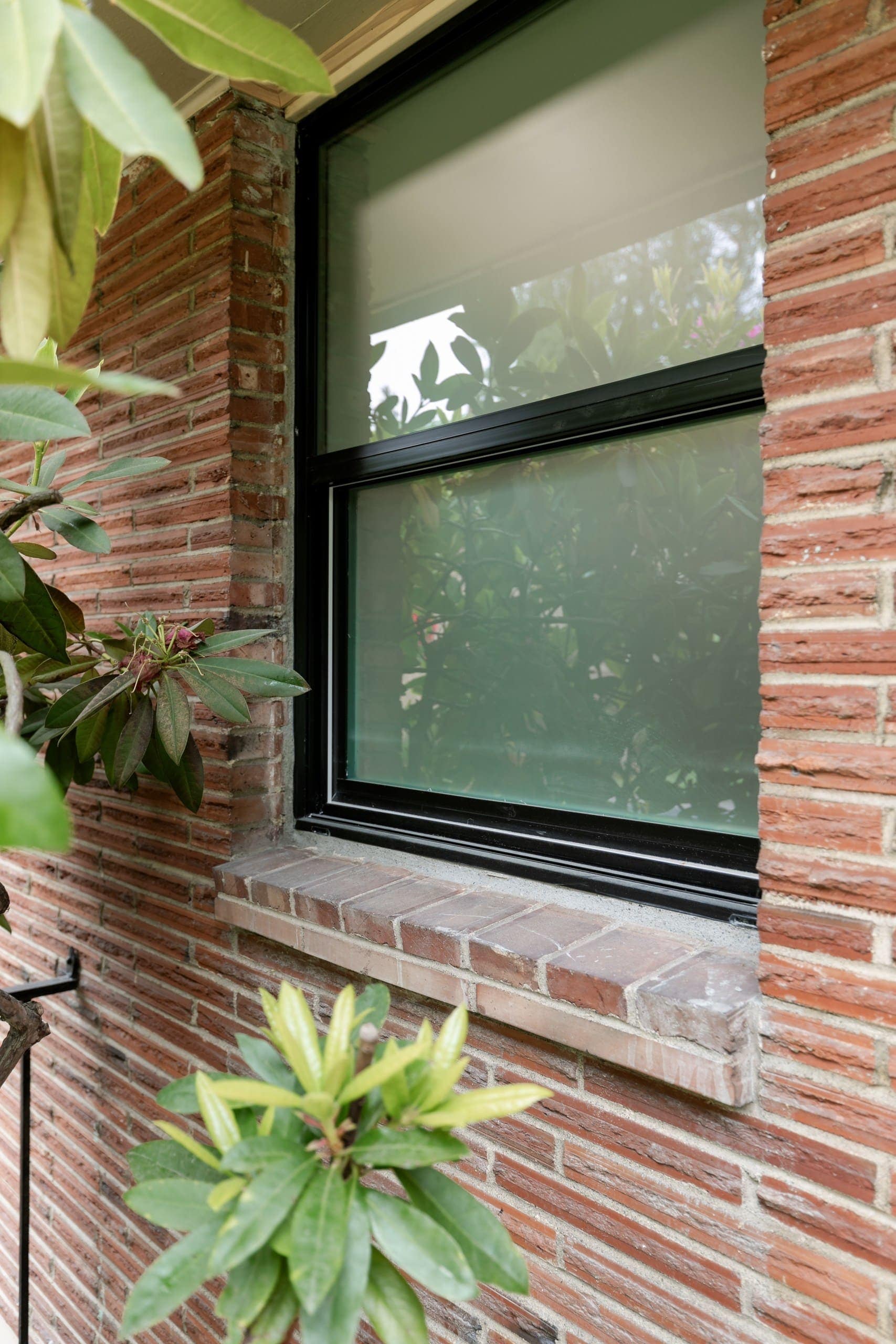 jevg59KqJD0dN3dR9nXSoQ