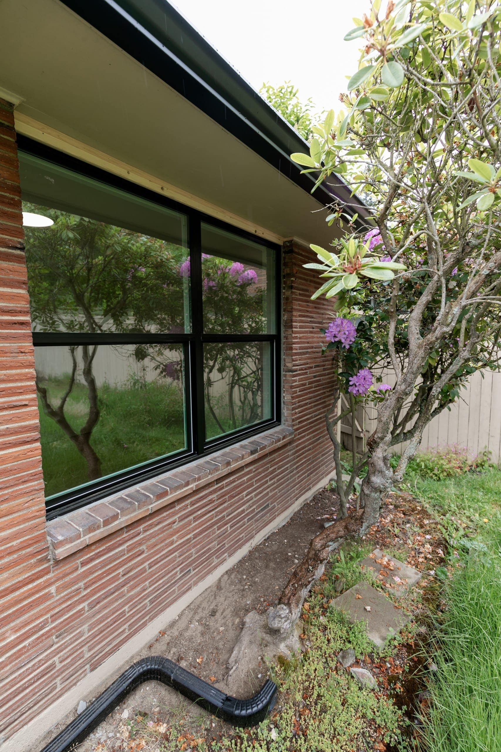 rXV5SOuJLs8duV-M9wZYIQ